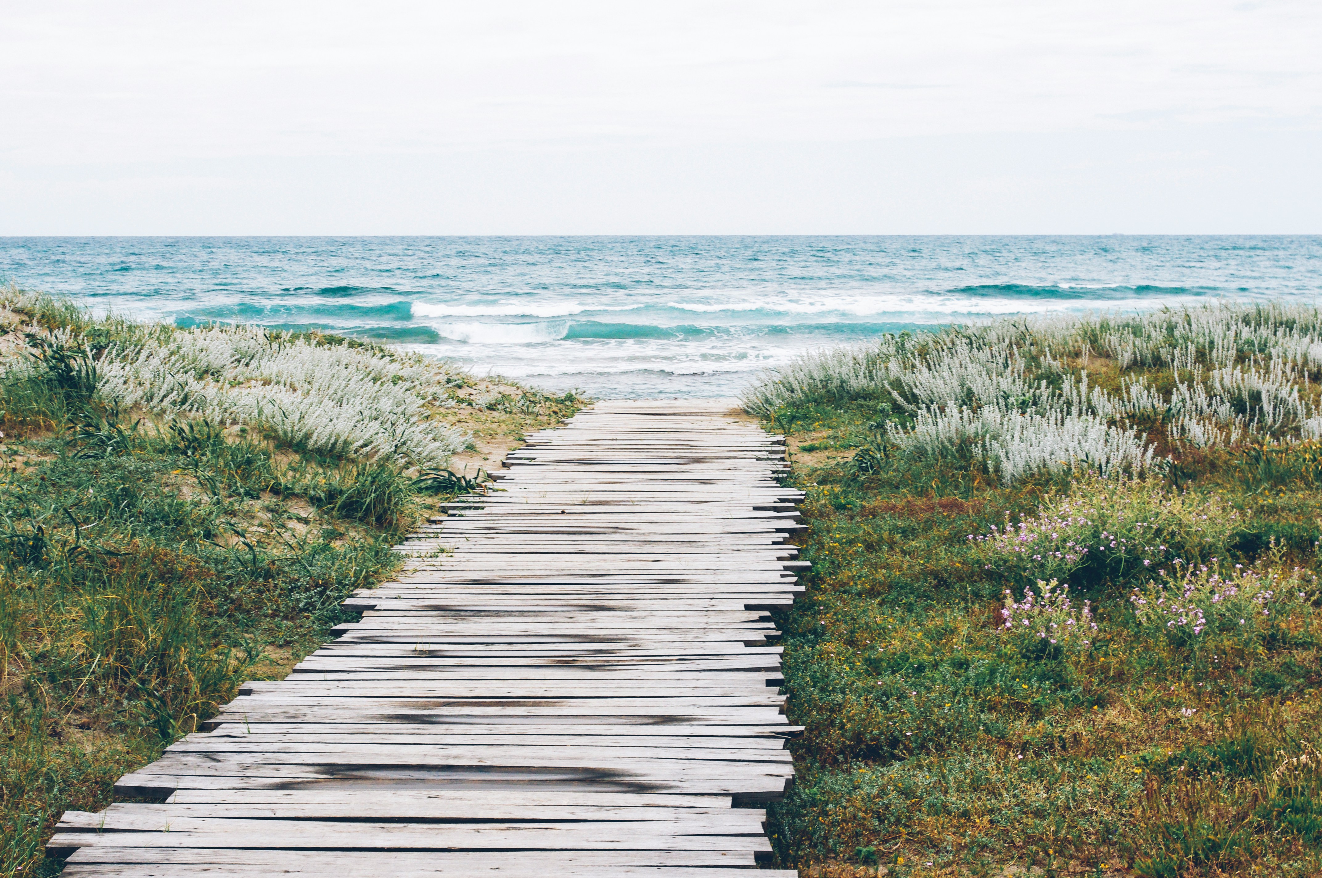 Photo by Aleksandra Boguslawska unsplash.com/@aleksandraboguslawska