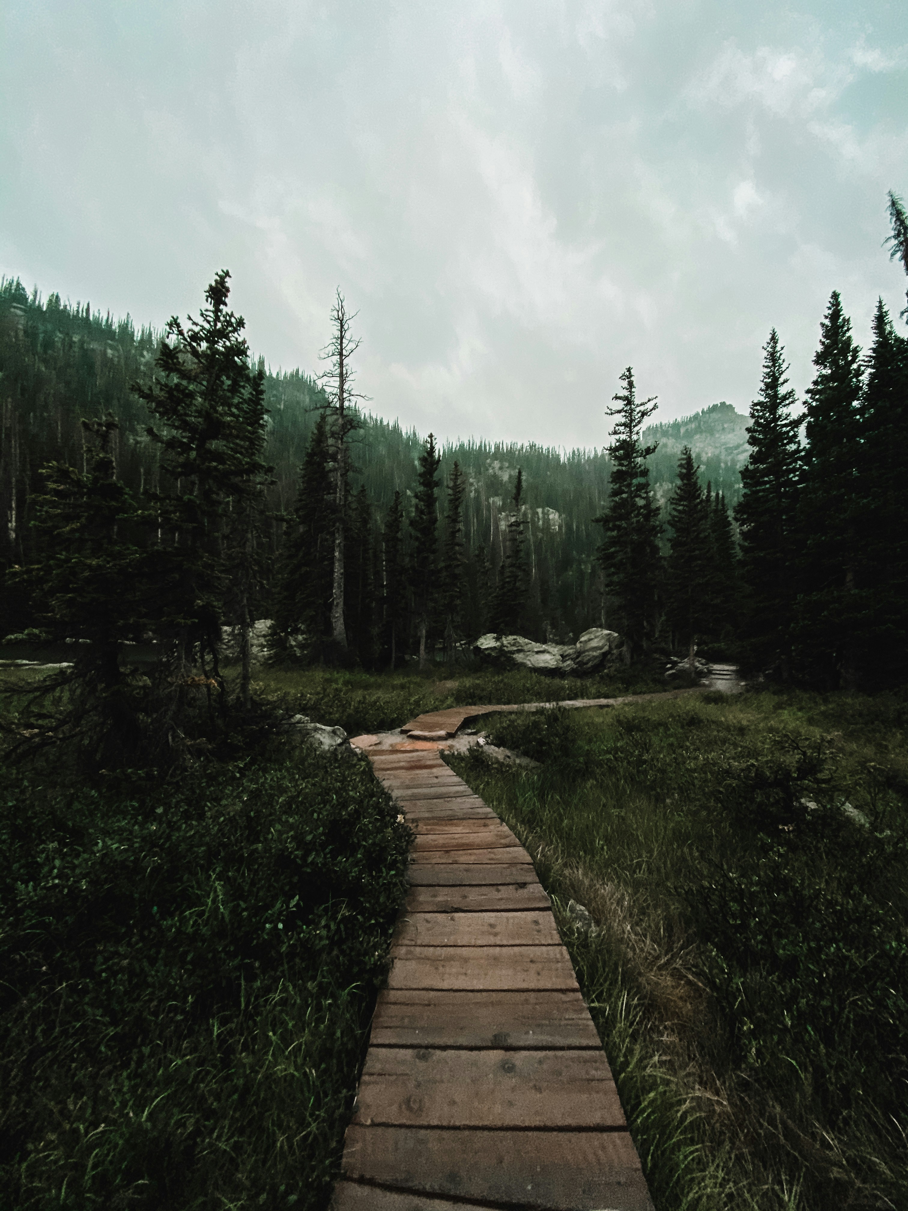 Photo by Grace Fitts - unsplash.com/@gracefitts